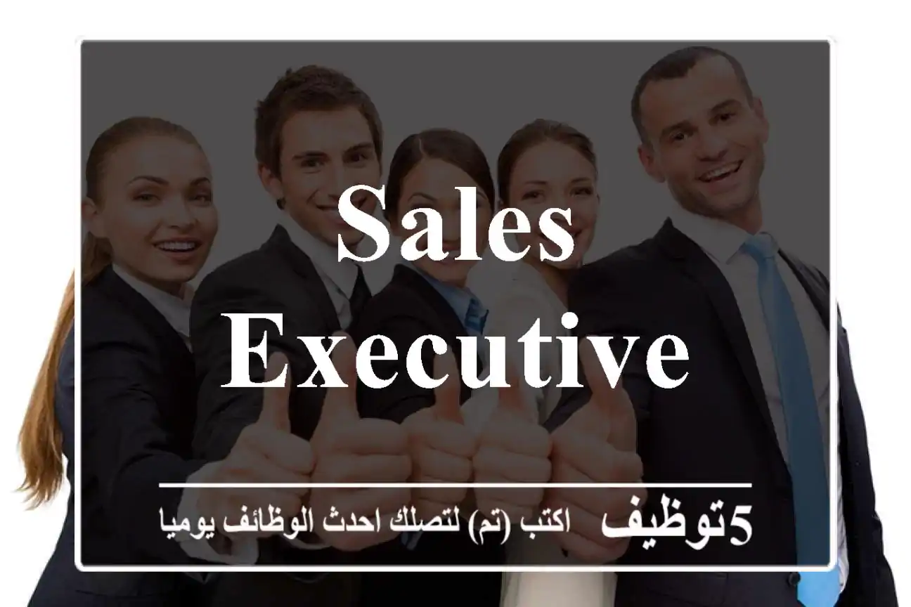 Sales Executive