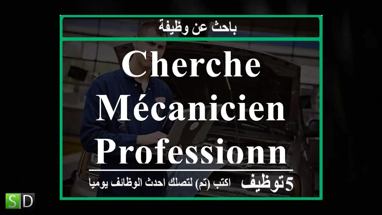 cherche mécanicien professionnel