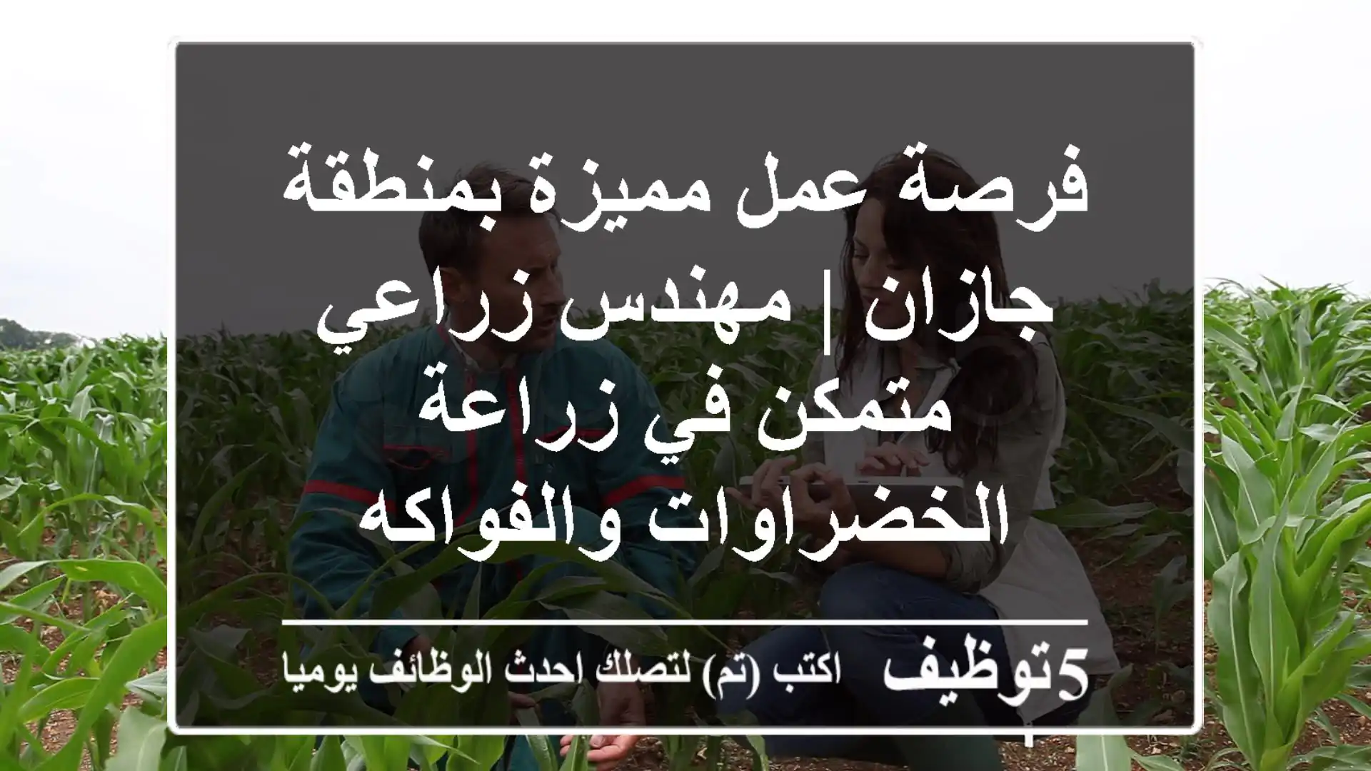 فرصة عمل مميزة بمنطقة جازان | مهندس زراعي متمكن في زراعة الخضراوات والفواكه