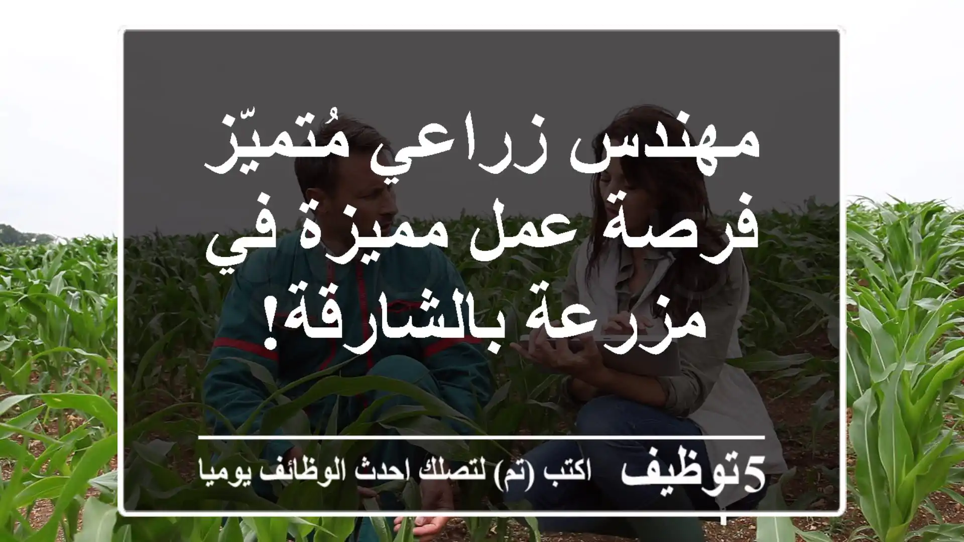 مهندس زراعي مُتميّز - فرصة عمل مميزة في مزرعة بالشارقة!