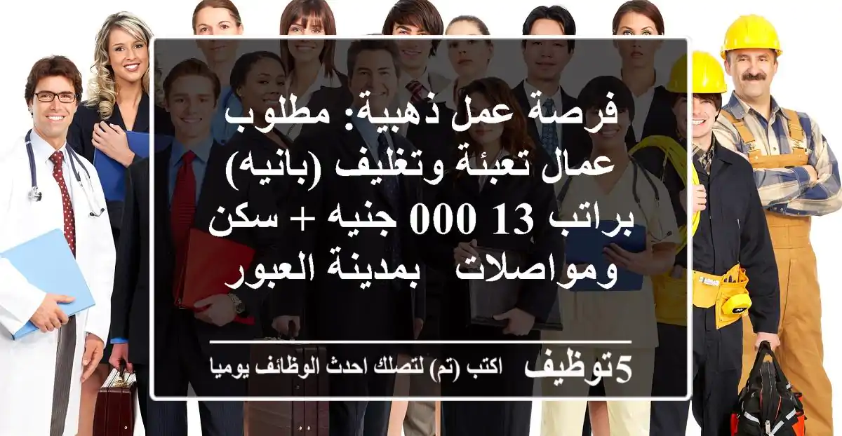 فرصة عمل ذهبية: مطلوب عمال تعبئة وتغليف (بانيه) براتب 13,000 جنيه + سكن ومواصلات - بمدينة العبور