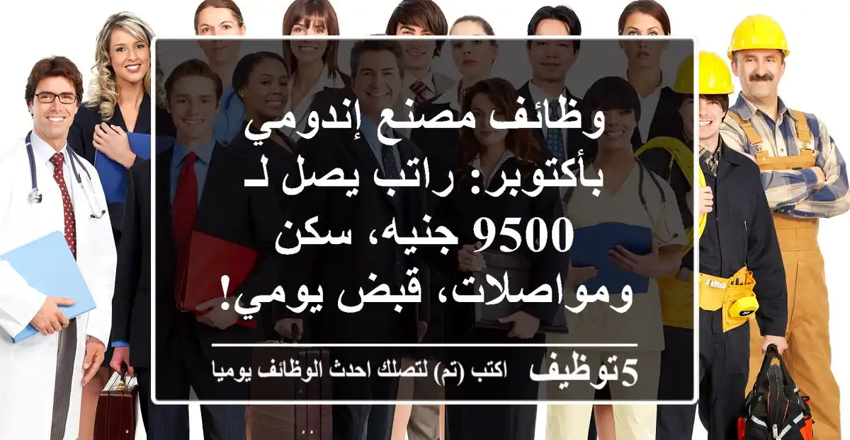 وظائف مصنع إندومي بأكتوبر: راتب يصل لـ 9500 جنيه، سكن ومواصلات، قبض يومي!