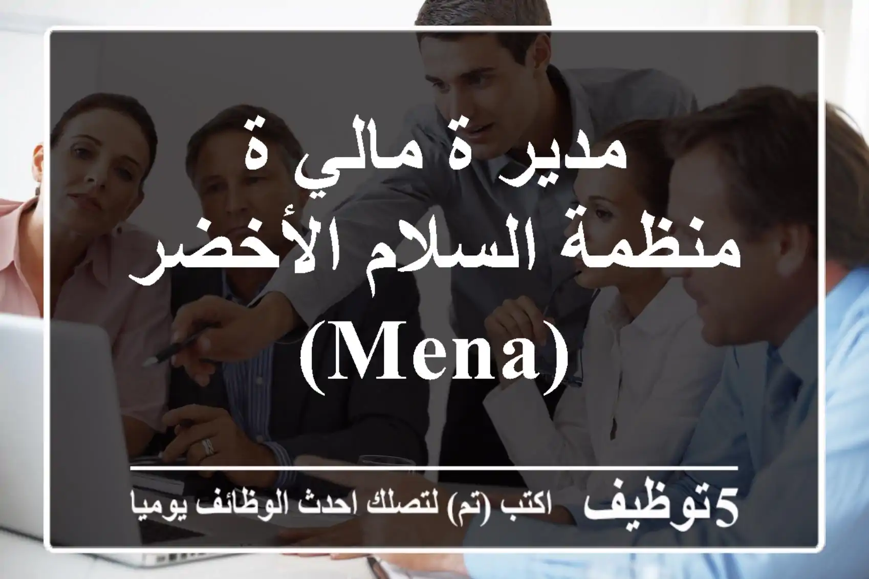 مدير/ة مالي/ة - منظمة السلام الأخضر (MENA)