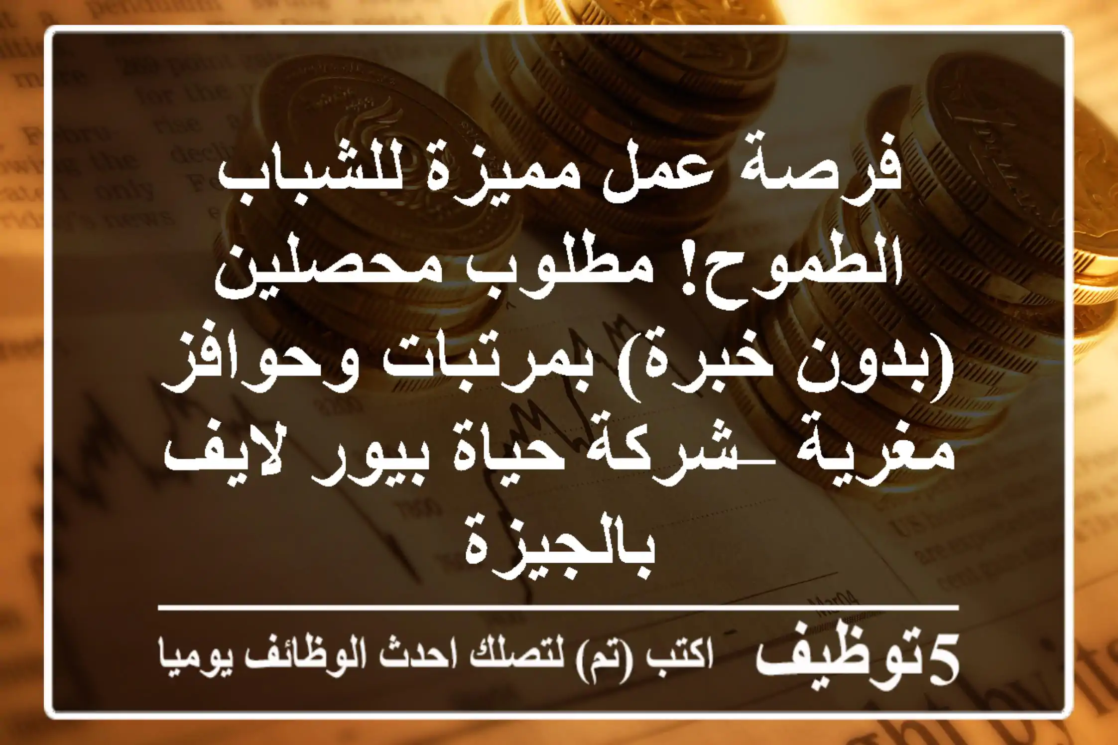 فرصة عمل مميزة للشباب الطموح! مطلوب محصلين (بدون خبرة) بمرتبات وحوافز مغرية – شركة حياة بيور لايف بالجيزة