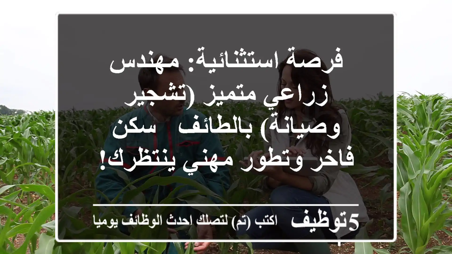 فرصة استثنائية: مهندس زراعي متميز (تشجير وصيانة) بالطائف - سكن فاخر وتطور مهني ينتظرك!
