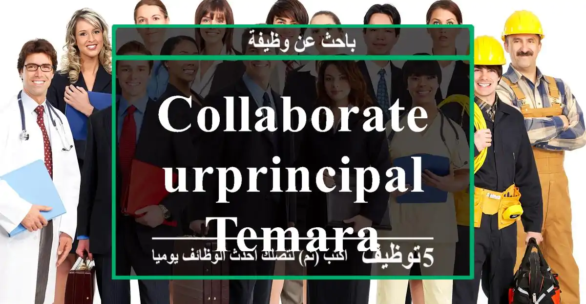 Collaborateurprincipal temara