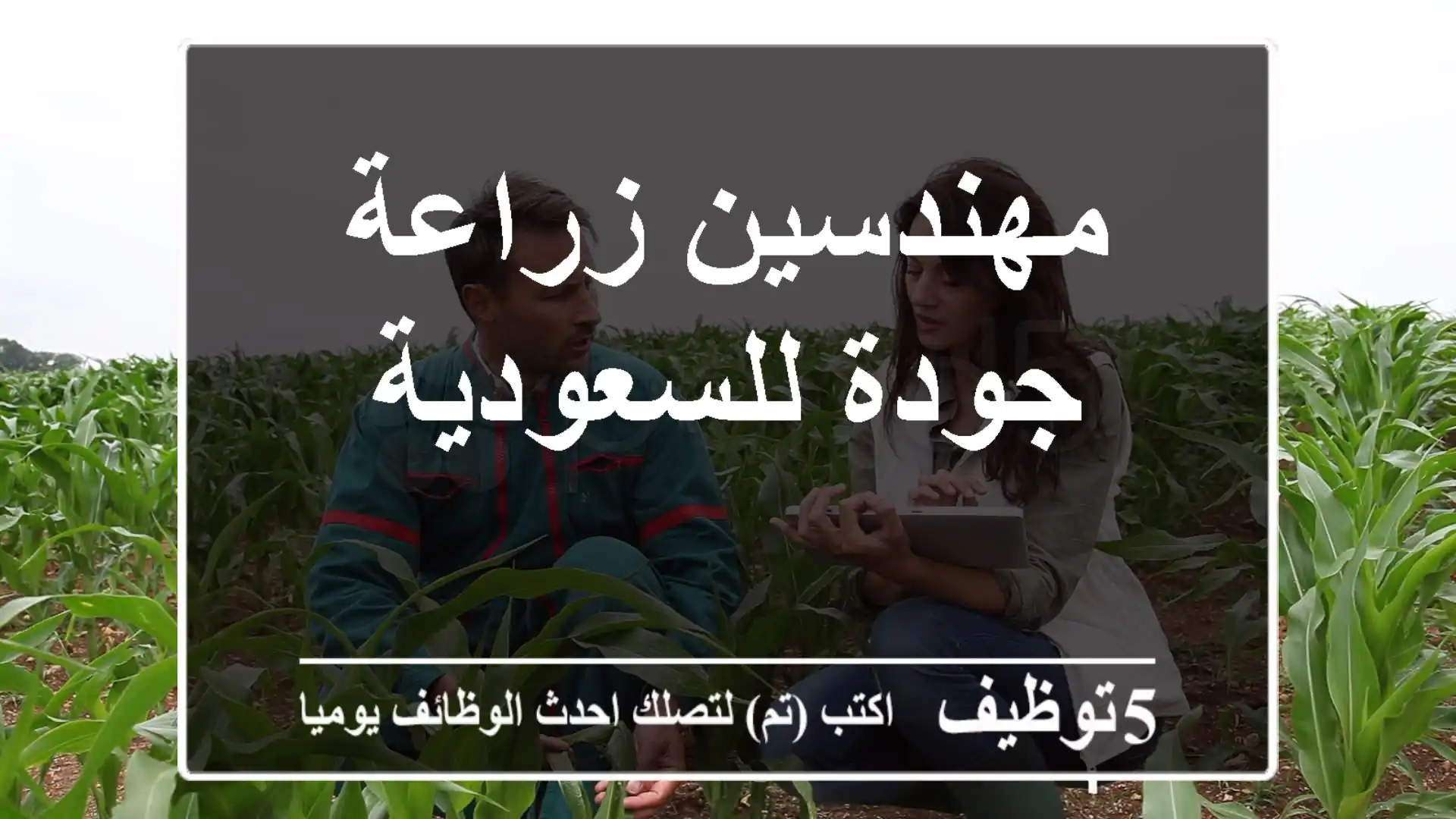 مهندسين زراعة جودة للسعودية