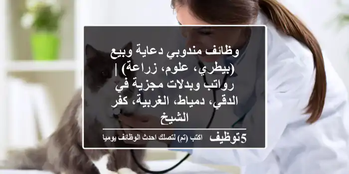 وظائف مندوبي دعاية وبيع (بيطري، علوم، زراعة) | رواتب وبدلات مجزية في الدقي، دمياط، الغربية، كفر الشيخ