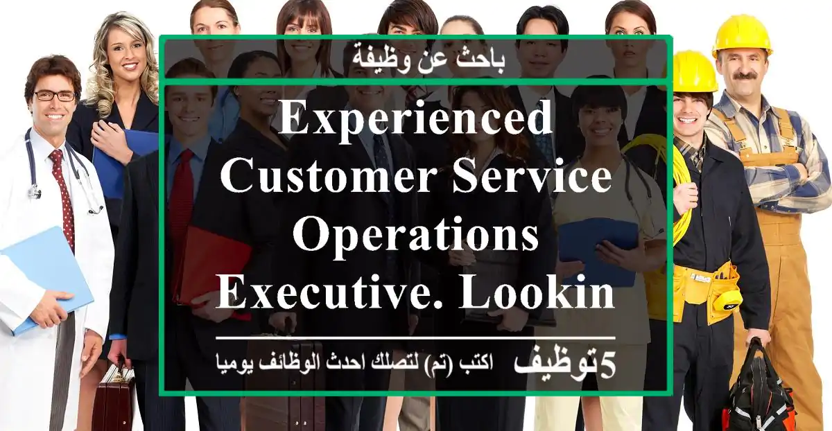 Experienced Customer Service & Operations Executive. Looking for a job opportunity