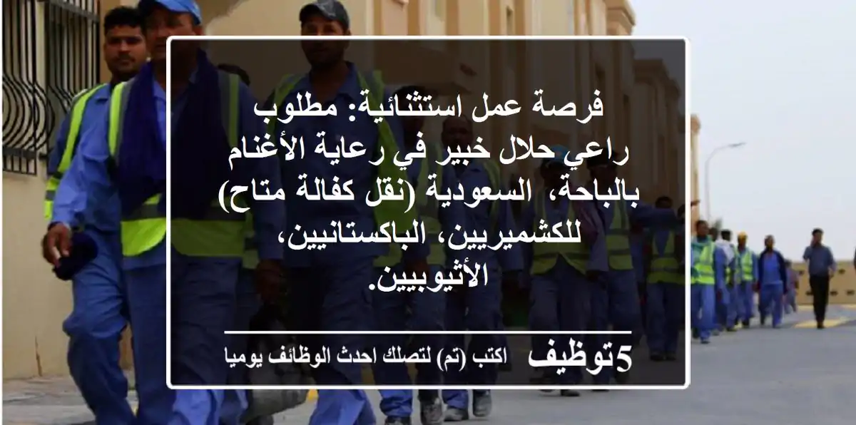 فرصة عمل استثنائية: مطلوب راعي حلال خبير في رعاية الأغنام بالباحة، السعودية (نقل كفالة متاح) - للكشميريين، الباكستانيين، الأثيوبيين.
