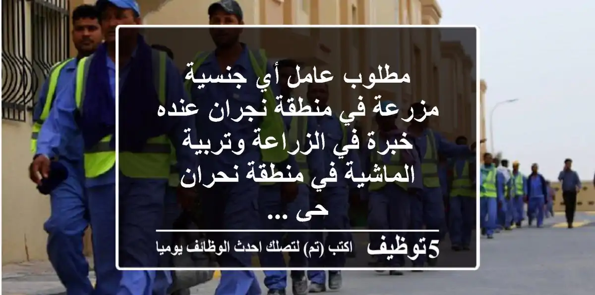 مطلوب عامل أي جنسية مزرعة في منطقة نجران عنده خبرة في الزراعة وتربية الماشية في منطقة نحران حي ...