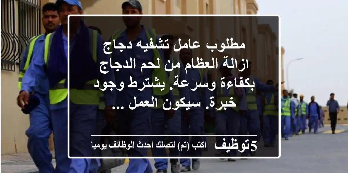مطلوب عامل تشفيه دجاج ازالة العظام من لحم الدجاج بكفاءة وسرعة. يشترط وجود خبرة. سيكون العمل ...