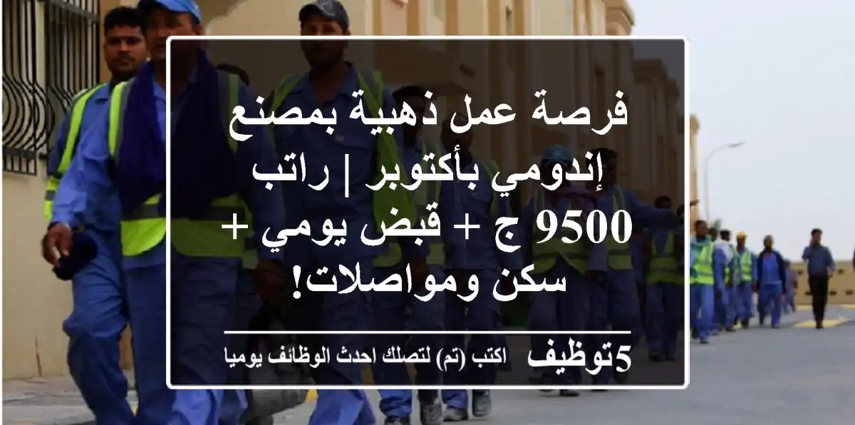 فرصة عمل ذهبية بمصنع إندومي بأكتوبر | راتب 9500 ج + قبض يومي + سكن ومواصلات!